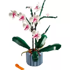 Orquideas