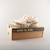Nike Air Vapormax Flyknit 2023 (Off White)