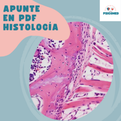 APUNTE EN PDF: PERÍODO SOMÍTICO NEURULACIÓN