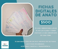 FICHAS DIGITALES - ANATOMIA (escaneadas a mano) - comprar online