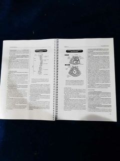 LIBRO "Fisiología Digestiva" - Scacchi - comprar online