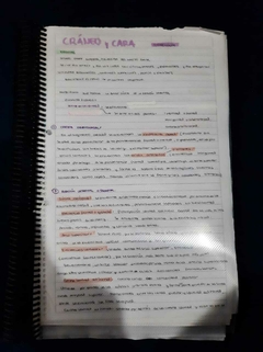 CUADERNILLO CON TEMAS ANATÓMICOS - comprar online