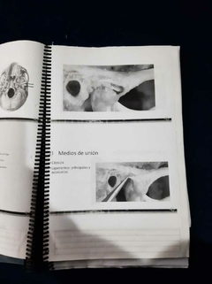 CUADERNILLO CON TEMAS ANATÓMICOS - tienda online