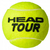 Caixa de Bola Head Tour 3B - 24 Tubos na internet