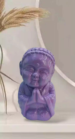 Buda Colores en internet