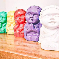Buda Colores