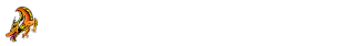Draco PC Store