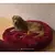 Caminha Cama Pet 70x70 Peludo Felpudo Cachorro Gato Antialérgico