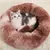 Imagem do Caminha Cama Pet 70x70 Peludo Felpudo Cachorro Gato Antialérgico