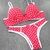 Conjunto Estampado - loja online