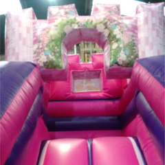 Castillo Princesa Premium (122)