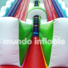Imagen de Rampa Inflable sobre Estructura (207)