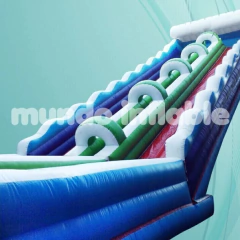 Rampa Inflable sobre Estructura (207)