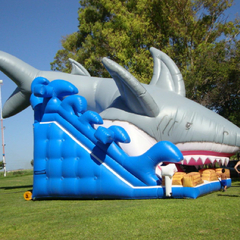 Rampa Inflable Tiburón (216) - comprar online