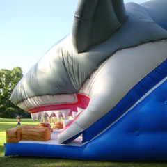 Rampa Inflable Tiburón (216) - MUNDO INFLABLE