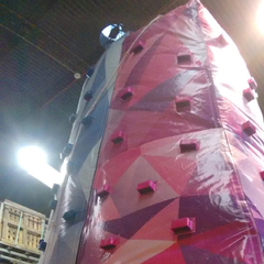 Palestra Inflable (339) en internet