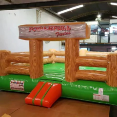 Corral Toro Premium (603) en internet