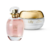 Combo Lily: Soleil Desodorante Colônia 75ml + Creme Acetinado Hidratante Desodorante 250g + Caixa Presenteável Verde Tam. M