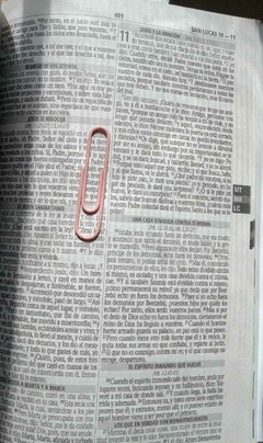 Biblia RVR 60 Diseño mariposas en internet