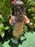 Conjunto Diversão - Ester Moda Infantil