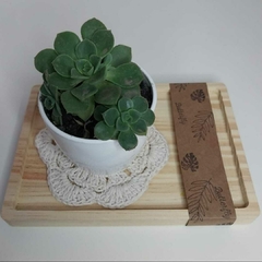 Tabla 20x14 - comprar online