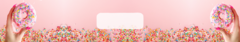Banner de la categoría SPRINKLES