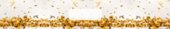 Banner de la categoría CONFETTI