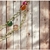 Colar dourado com brinco com pedras coloridas naturais - comprar online