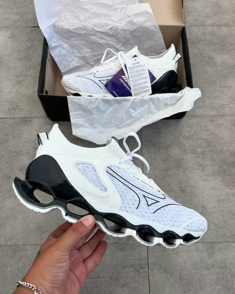Mizuno prophecy 14