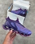 Mizuno prophecy 14