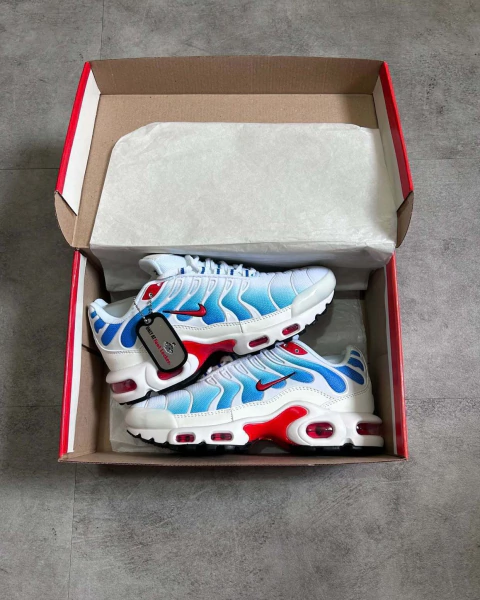 NIKE AIR MAX TN na internet