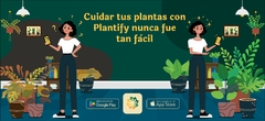 Diseño de Banner para Redes Sociales - comprar online