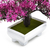 BONSAI ARTIFICIAL - comprar online