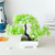 BONSAI ARTIFICIAL - comprar online