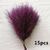 FLOR DOS PAMPAS 15 PEÇAS na internet