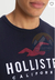 Remera Hollister en internet