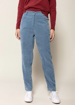 CALÇA VELUDO COTELÊ BIAMAR AZUL - comprar online