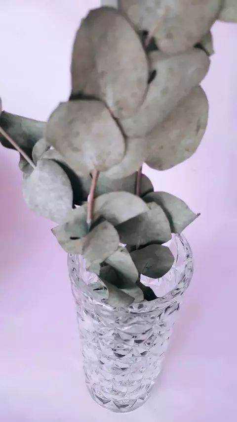 FLORERO DE VIDRIO - comprar online