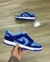Nike SB Dunk Low Retro na internet