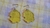 Psyduck