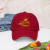 Gorra dad hat - Wicked 1