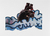 Toxique V -print-