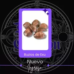 Buzios negros/marrones