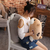 Almofada de hamster fofa - loja online