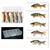 Bait fish