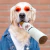 Brinquedo engraçado do luxuoso do charuto para animais de estimação, fumo grande, Squeak, cigarros falsificados, mastigação do cão, jogo interativo do molar, brinquedo resistente à mordida na internet