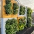Jardín Vertical Grande PVC XYPNA - ¡Tu Huerta Vertical Soñada! - XYPNA