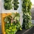 Jardín Vertical Chico PVC XYPNA - ¡Listo con Ornamentales! - XYPNA