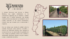 Banner de la categoría Pannunzio