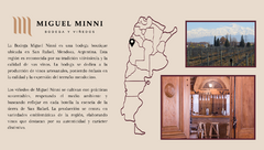 Banner de la categoría Miguel Minni